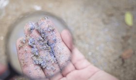 Microplásticos favorecen el desarrollo de resistencia a los antibióticos, según estudio