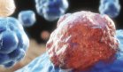 Investigadores revierten células cancerosas de colon y cerebro en saludables mediante regulación genética