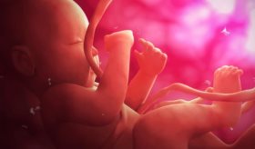 Hallazgos en resonancia magnética funcional indican que la consciencia podría desarrollarse en el útero