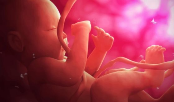 Hallazgos en resonancia magnética funcional indican que la consciencia podría desarrollarse en el útero
