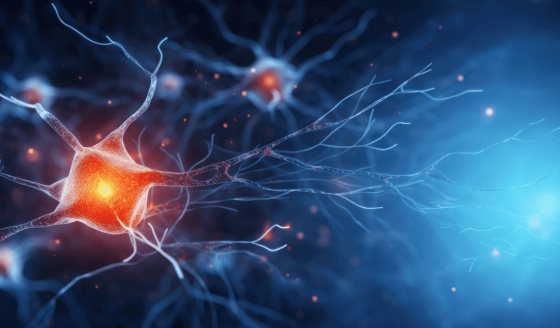 Envejecimiento cerebral se intensifica por resistencia neuronal a la insulina, según estudio