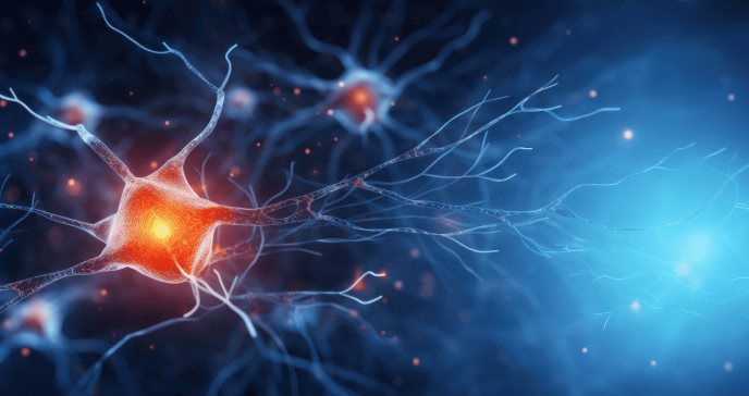 Envejecimiento cerebral se intensifica por resistencia neuronal a la insulina, según estudio