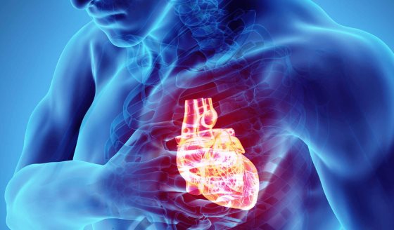 Descubren que la dapagliflozina y empagliflozina podrían tratar arritmias en insuficiencia cardíaca