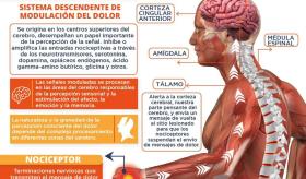 ¿POR QUÉ SENTIMOS DOLOR Y COMO VIVIR CON ÉL?