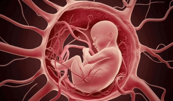 Transmisión perinatal del virus de hepatitis C: Niveles de ARN >106 UI/ml y sangrado elevan el riesgo