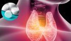 ¿Cómo consumir correctamente levotiroxina? Medicamentos, alimentos y condiciones que afectan su eficacia