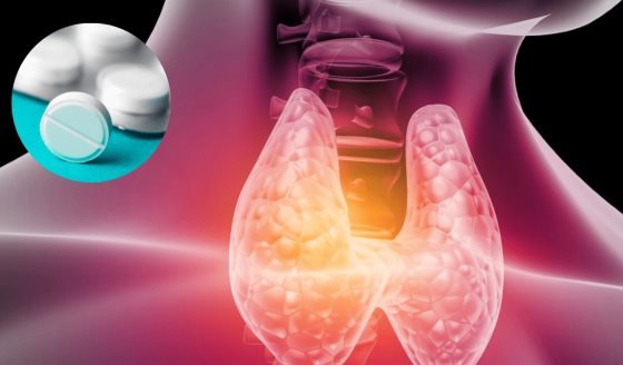 ¿Cómo consumir correctamente levotiroxina? Medicamentos, alimentos y condiciones que afectan su eficacia