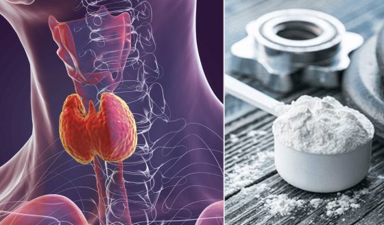 Creatina y medicación para tiroides: Riesgo de complicaciones en el equilibrio de líquidos y electrolitos