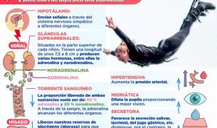 ADRENALINA