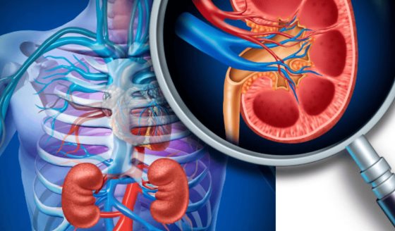 Aumento de la enfermedad renal resalta la conexión crítica entre los riñones y el corazón