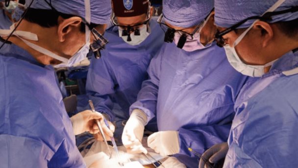 Trasplantes de riñones de cerdo genéticamente modificados, una posible respuesta ante falta de donantes Trasplantes de riñones de cerdo genéticamente modificados, una posible respuesta ante falta de donantes