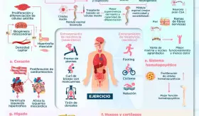 REGENERACIÓN TISULAR