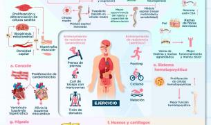 REGENERACIÓN TISULAR