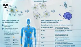 RADIACIÓN EN EL CUERPO HUMANO