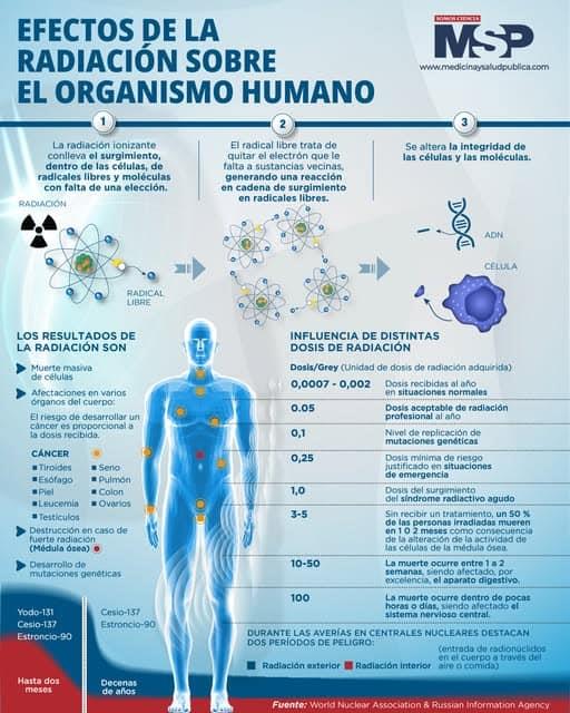 RADIACIÓN EN EL CUERPO HUMANO RADIACIÓN EN EL CUERPO HUMANO
