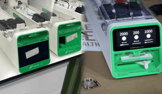 Científicos crean la primera computadora con neuronas humanas: ¿Para qué sirve?