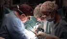 Innovación en cirugía cardíaca: Hospital Trueta implanta una nueva prótesis biológica valvular mitral