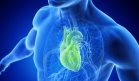 Crean IA que predice la edad biológica del corazón y mejora la detección de riesgos cardiovasculares
