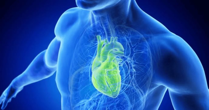 Crean IA que predice la edad biológica del corazón y mejora la detección de riesgos cardiovasculares
