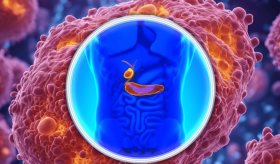 Investigadores crean islotes pancreáticos funcionales a partir de células madre para tratar diabetes tipo