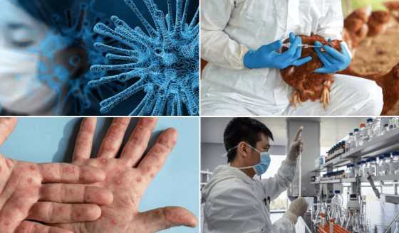 Cuatro enfermedades emergentes que pusieron a prueba los sistemas de salud en los últimos años