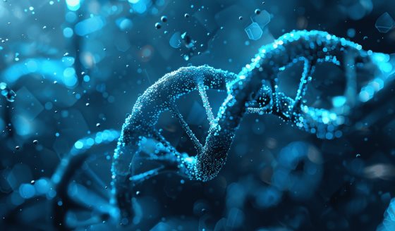 Hasta el 5% de la población mundial podría tener gen que aumenta el riesgo de neumotórax y cáncer renal