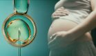 Crean método de fertilización in vitro permite madurar óvulos en laboratorio y reduce el uso de hormonas