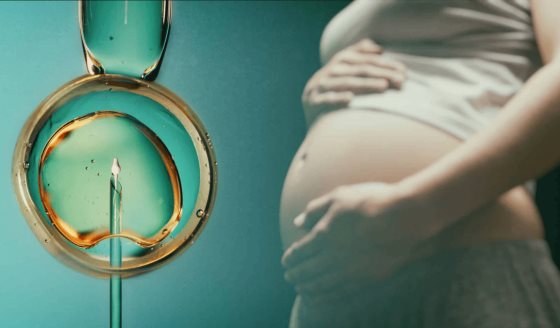 Crean método de fertilización in vitro permite madurar óvulos en laboratorio y reduce el uso de hormonas