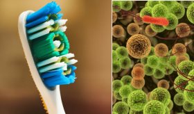 Una ortodoncista recomienda guardar el cepillo de dientes seco y en vertical para prevenir bacterias