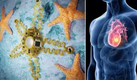 Crean un parche inteligente inspirado en estrellas de mar para detectar enfermedades del corazón