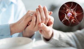 Científicos logran frenar el párkinson en ratones al anular la proteína FKBP51