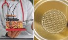 Científicos crean piel humana impresa en 3D para reemplazar pruebas cosméticas en animales