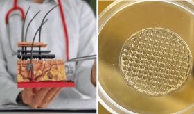 Científicos crean piel humana impresa en 3D para reemplazar pruebas cosméticas en animales