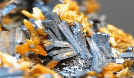 Talio: ¿Qué es esta sustancia, por qué es tan peligrosa y qué reacciones genera en el cuerpo humano?