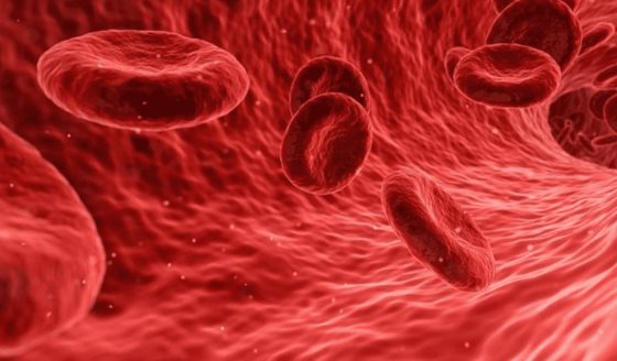 Hemofilia: Conozca de qué trata el trastorno de la coagulación que puede causar hemorragias espontáneas