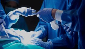 EE.UU. probará ensayo clínico con hígados de cerdo modificados para tratar insuficiencia hepática grave