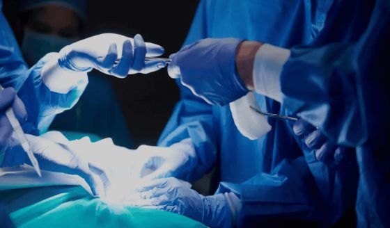 EE.UU. probará ensayo clínico con hígados de cerdo modificados para tratar insuficiencia hepática grave