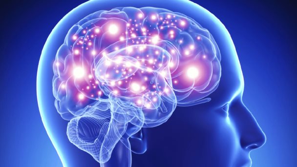 Prevalencia de autismo en Estados Unidos se eleva a 1 de cada 31 niños según nuevos datos del CDC Prevalencia de autismo en Estados Unidos se eleva a 1 de cada 31 niños según nuevos datos del CDC