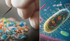 Los microplásticos podrían estar impulsando la resistencia a los antibióticos, según estudio