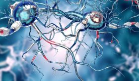 Trasplantes cerebrales con células madre son seguros en pacientes con párkinson, según ensayos clínicos