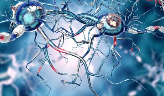 Trasplantes cerebrales con células madre son seguros en pacientes con párkinson, según ensayos clínicos