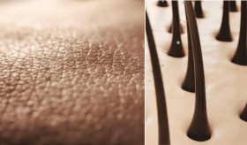 Crean piel humana con folículos pilosos y vasos sanguíneos con capacidad para generar cabello
