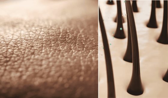 Crean piel humana con folículos pilosos y vasos sanguíneos con capacidad para generar cabello