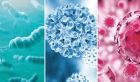 Vencer el cáncer curando las infecciones