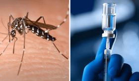 FDA aprobó la primera vacuna contra el chikunguña basada en inmunogenicidad en Brasil