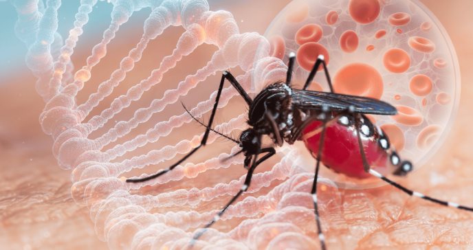 Conozca al Aedes aegypti: mosquito que puede transmitir dengue, zika, chikunguña y fiebre amarilla