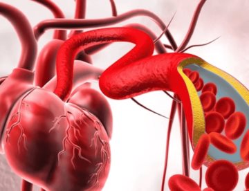 Científicos descubren nueva terapia inyectable para reparar el corazón tras un infarto  