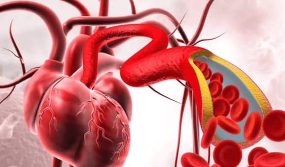 Científicos descubren nueva terapia inyectable para reparar el corazón tras un infarto  
