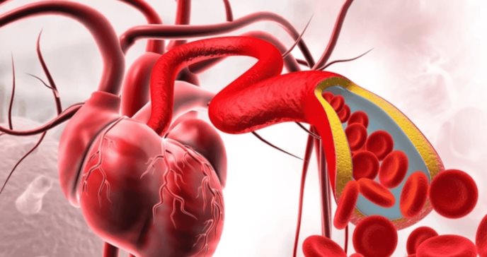 Científicos descubren nueva terapia inyectable para reparar el corazón tras un infarto  