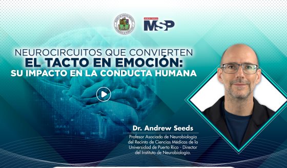 Neurocircuitos que convierten el tacto en emoción: su impacto en la conducta humana